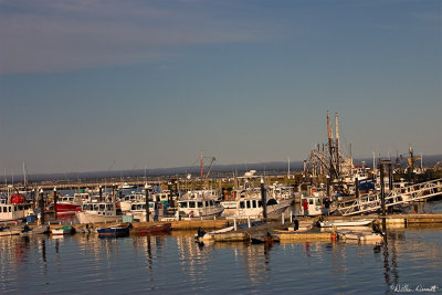 CRW_7484.jpg