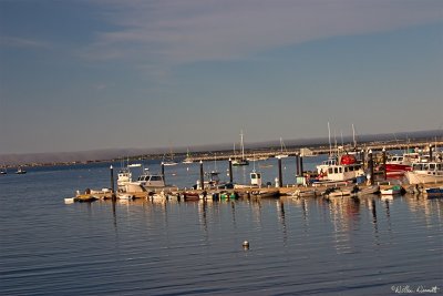 CRW_7485.jpg