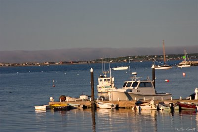 CRW_7486.jpg