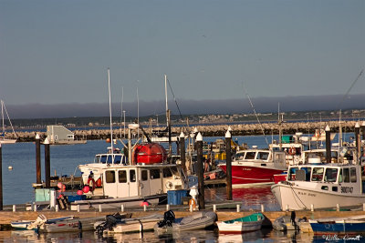 CRW_7487.jpg