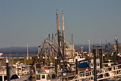 CRW_7488.jpg