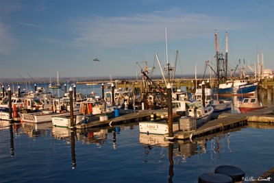 CRW_7493.jpg