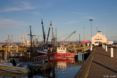 CRW_7497.jpg