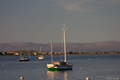 CRW_7500.jpg
