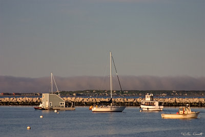 CRW_7503.jpg