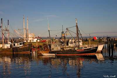 CRW_7504.jpg