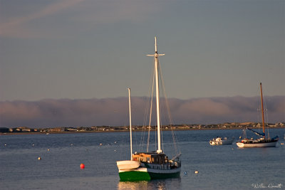 CRW_7507.jpg