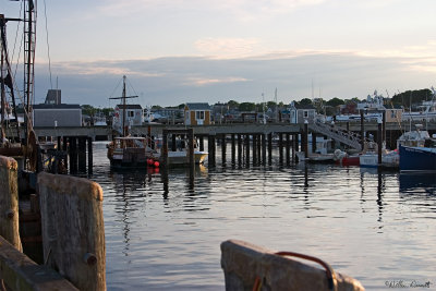 CRW_7511.jpg