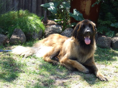 DSCF0556.jpg