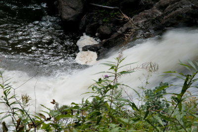 100818-03-Chutes de Ste-Ursule.jpg