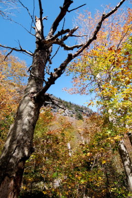 101004-21-Vermont-Scenic Road 108.jpg