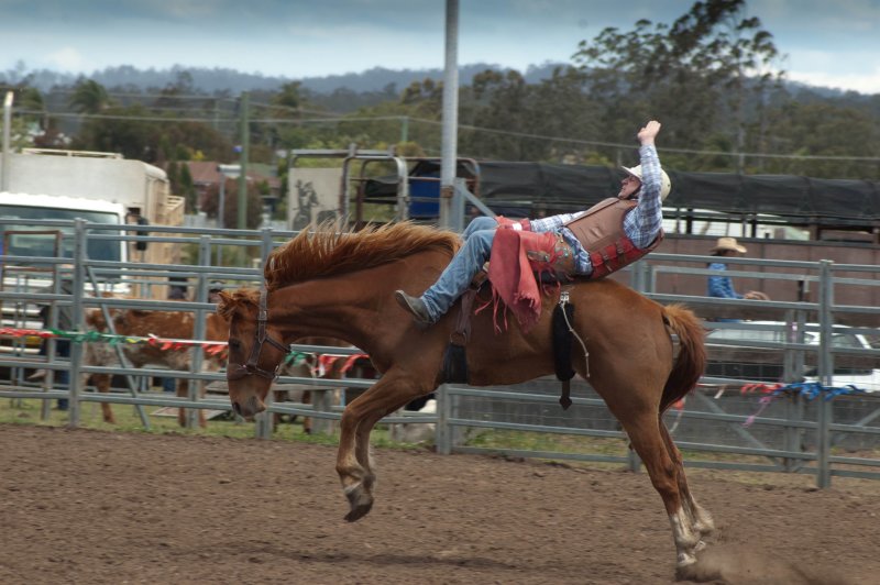 Branxton Rodeo 201005.jpg