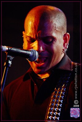 151-The-Wildhearts.jpg
