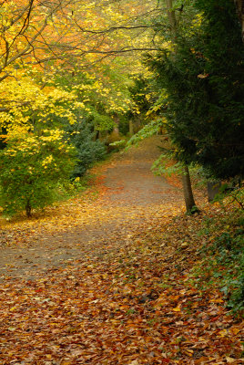 Durham Autumn
