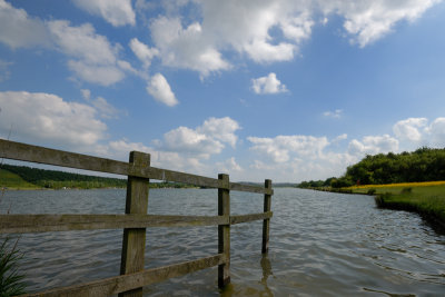 Water's Edge, Rother Valley Country Park