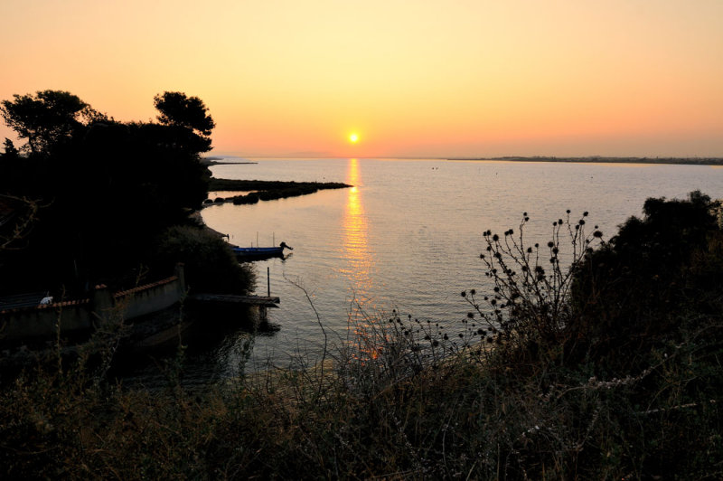 etangs de camargue