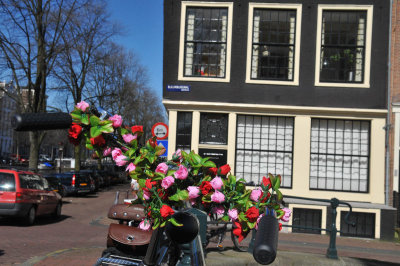 Velo  Amsterdam