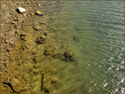 Rocks Water Low Tide.jpg