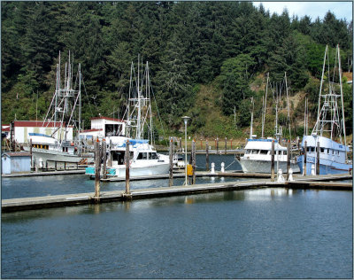 Boats at Dock  Southern Oregon.jpg