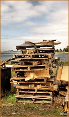 Pallets Abandoned.jpg