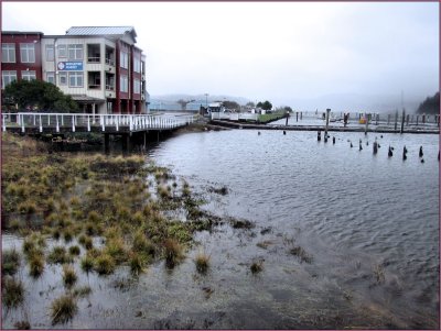 Fog  Rain Florence Oregon