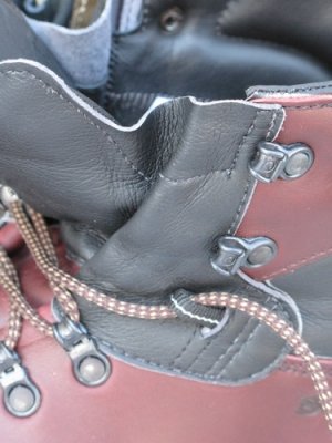 Backpacking_Boots_20081119_IMG_1834.JPG