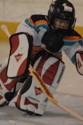 Tyler_Hockey_Goalie_20080315_TYL_8197.JPG