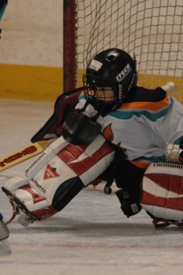 Tyler_Hockey_Goalie_20080315_TYL_8215.JPG