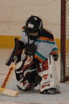 Tyler_Hockey_Goalie_20080315_TYL_8217.JPG