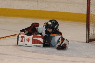 Tyler_Hockey_Goalie_20080315_TYL_8224.JPG