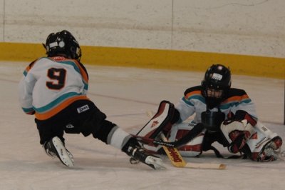 Tyler_Hockey_Goalie_20080315_TYL_8226.JPG