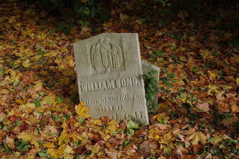 Old grave Toronto.jpg