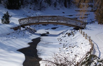 bridge in winter.jpg