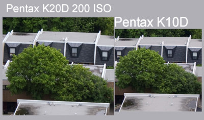 Pentax K20D v K10D.jpg