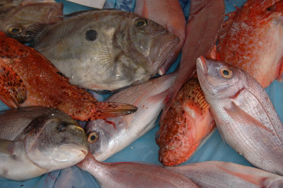 Fish market - Nice