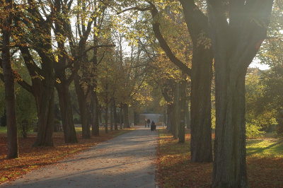 Fall in Kannenfeld Park