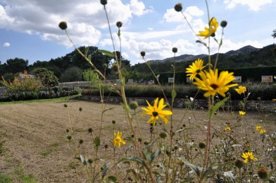 The Alpilles hills