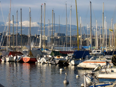 Geneva harbour