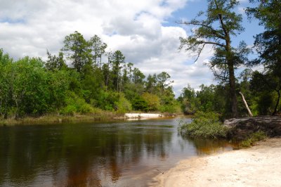 0002g: Blackwater River and Blackwater State Park