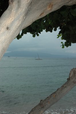 g1/33/569233/3/106854388.vNzh7Ok9.jpg