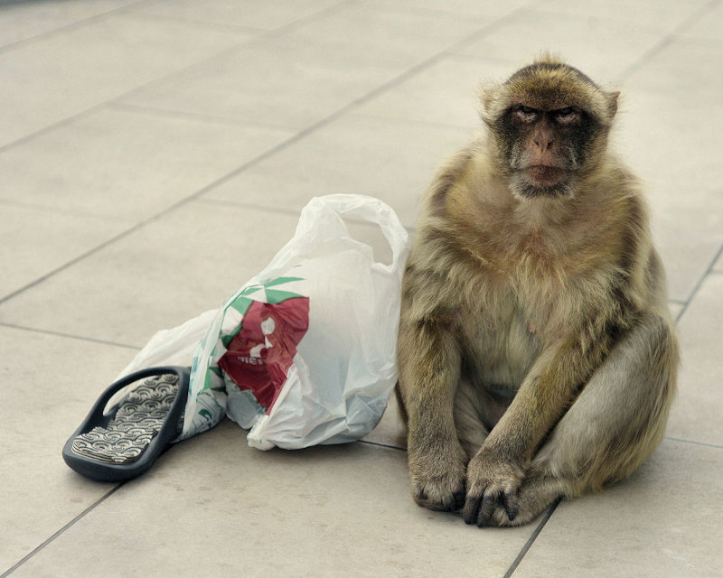 2010 - Gibraltar - L1020084