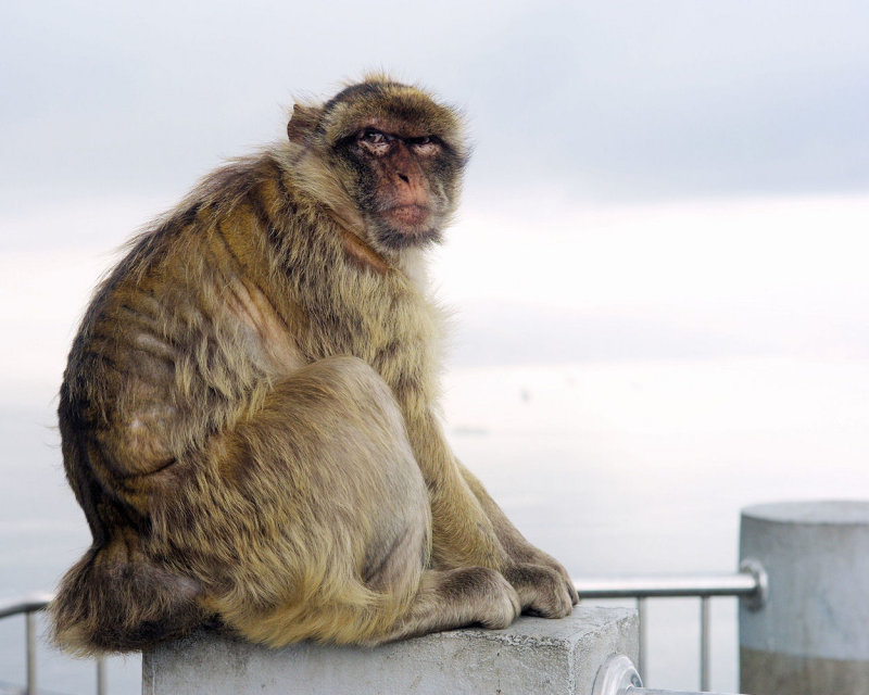 2010 - Gibraltar - L1020094