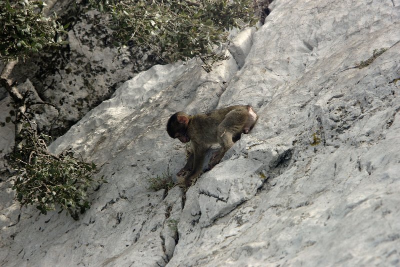 2010 - Gibraltar - L1020233