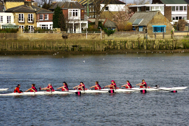 2008 - Womens Head of the River Race - IMGP0739