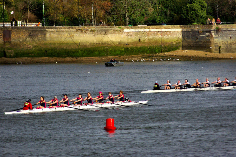 2008 - Womens Head of the River Race - IMGP0744