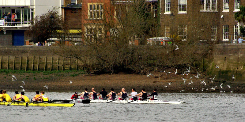 2008 - The Head of the River Race - IMGP0842