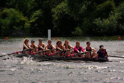 g1/33/583033/3/114038818.Pa1K6MjS.jpg