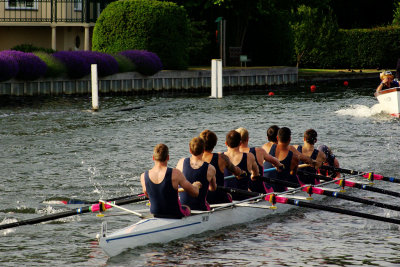 g1/33/583033/3/126550401.xDkXiZNl.jpg
