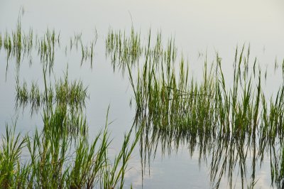 DSC_0814a.jpg