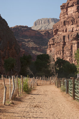 Havasupai Canyon